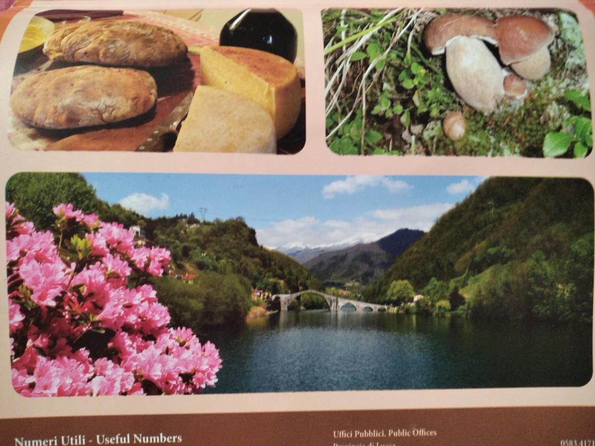 Pieve Fosciana Villa Belvedere מראה חיצוני תמונה